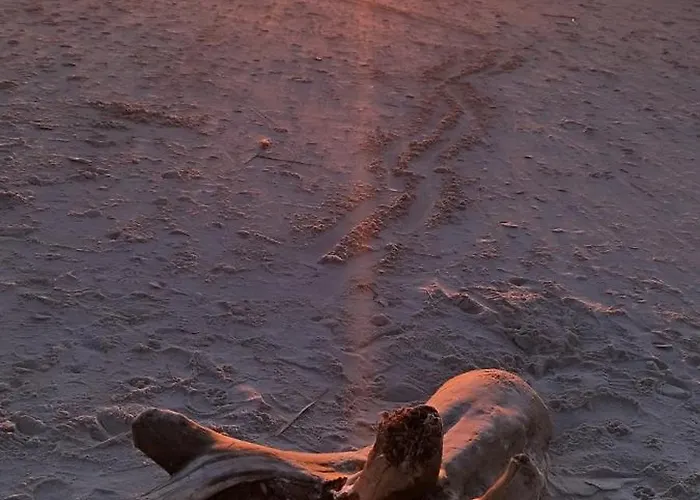 Hébergement de vacances Bialy Dom *